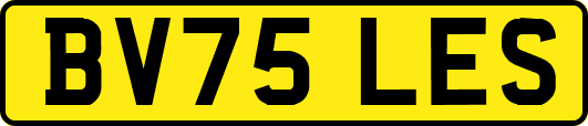 BV75LES