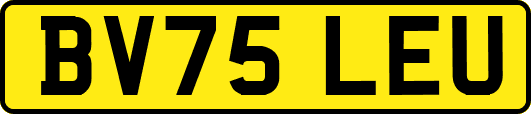 BV75LEU