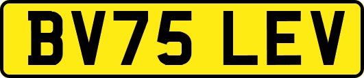 BV75LEV