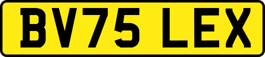 BV75LEX