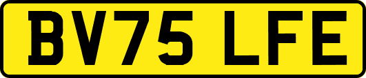 BV75LFE