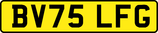 BV75LFG