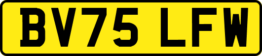 BV75LFW