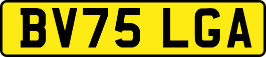 BV75LGA
