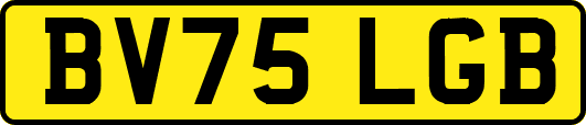 BV75LGB