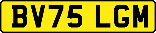 BV75LGM