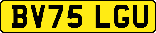 BV75LGU