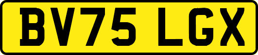 BV75LGX