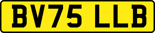 BV75LLB