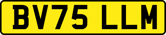 BV75LLM