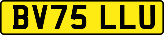 BV75LLU