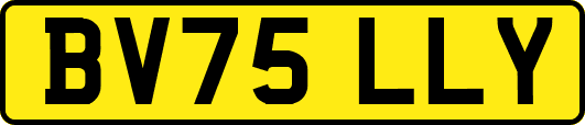 BV75LLY