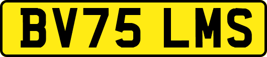 BV75LMS