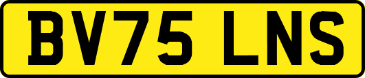 BV75LNS