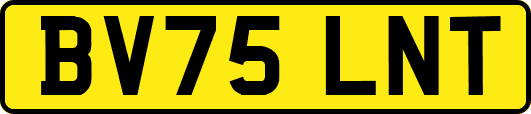 BV75LNT