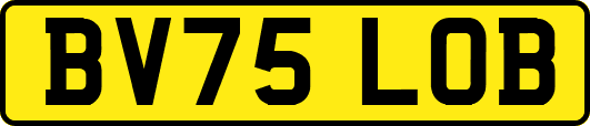 BV75LOB