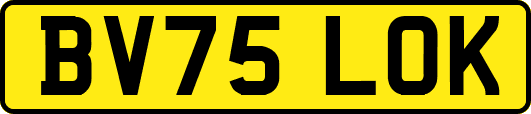 BV75LOK