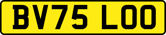 BV75LOO