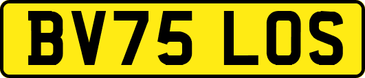 BV75LOS
