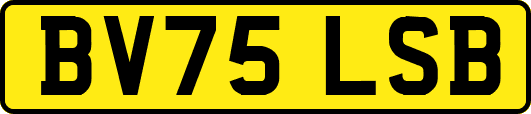 BV75LSB