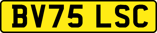 BV75LSC