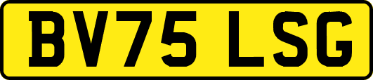 BV75LSG