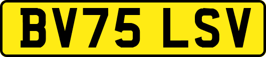 BV75LSV
