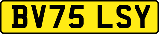 BV75LSY