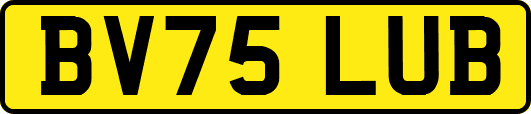 BV75LUB