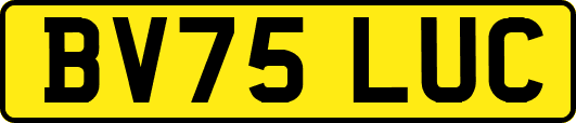 BV75LUC