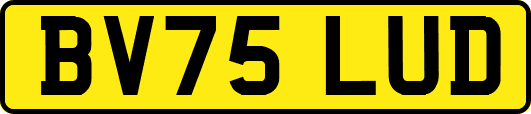 BV75LUD