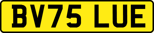 BV75LUE