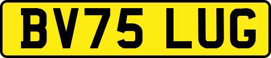 BV75LUG