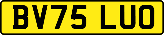 BV75LUO