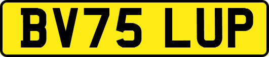 BV75LUP