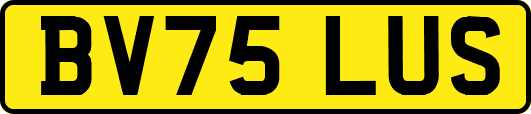 BV75LUS