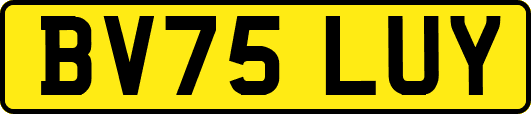 BV75LUY