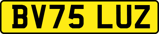 BV75LUZ