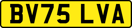 BV75LVA