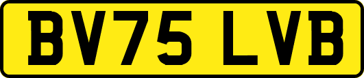 BV75LVB