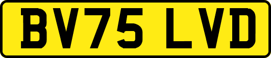 BV75LVD
