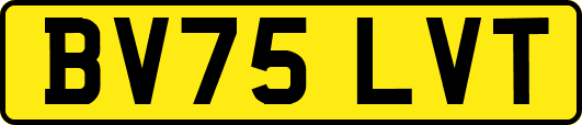 BV75LVT