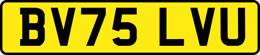BV75LVU