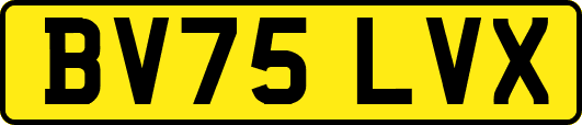 BV75LVX
