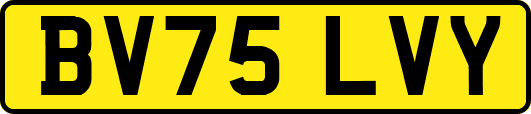 BV75LVY