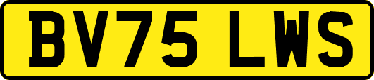 BV75LWS