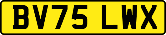 BV75LWX