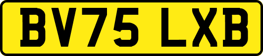 BV75LXB