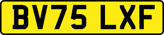 BV75LXF