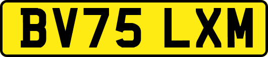 BV75LXM